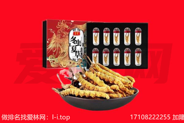 阿城区回收虫草.jpg